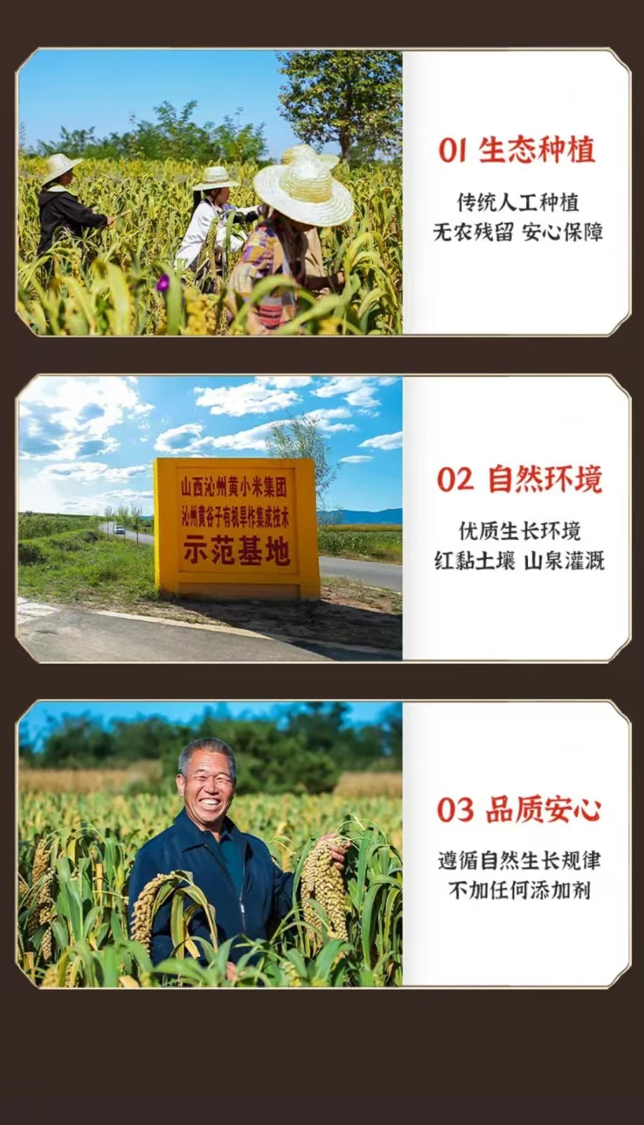 5069c0406f2311efb1e0e994ff1798b9.jpg