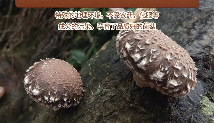 aab00bd07a4c11efb6282504127dc446.jpg