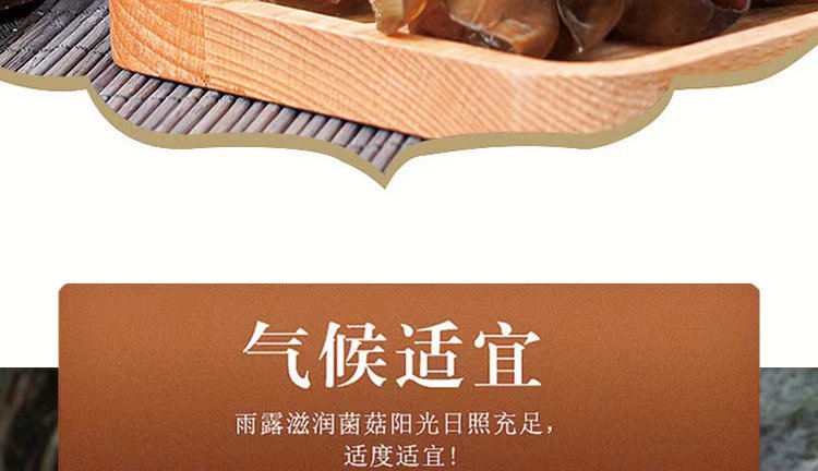 abcf15c07a4c11efac68dd10fa239895.jpg