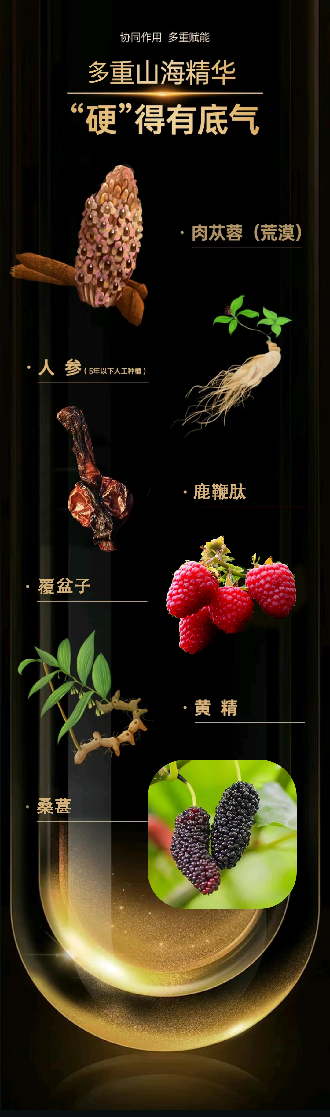 117bf8e07cd611efa5fd6167b43d999b.jpg